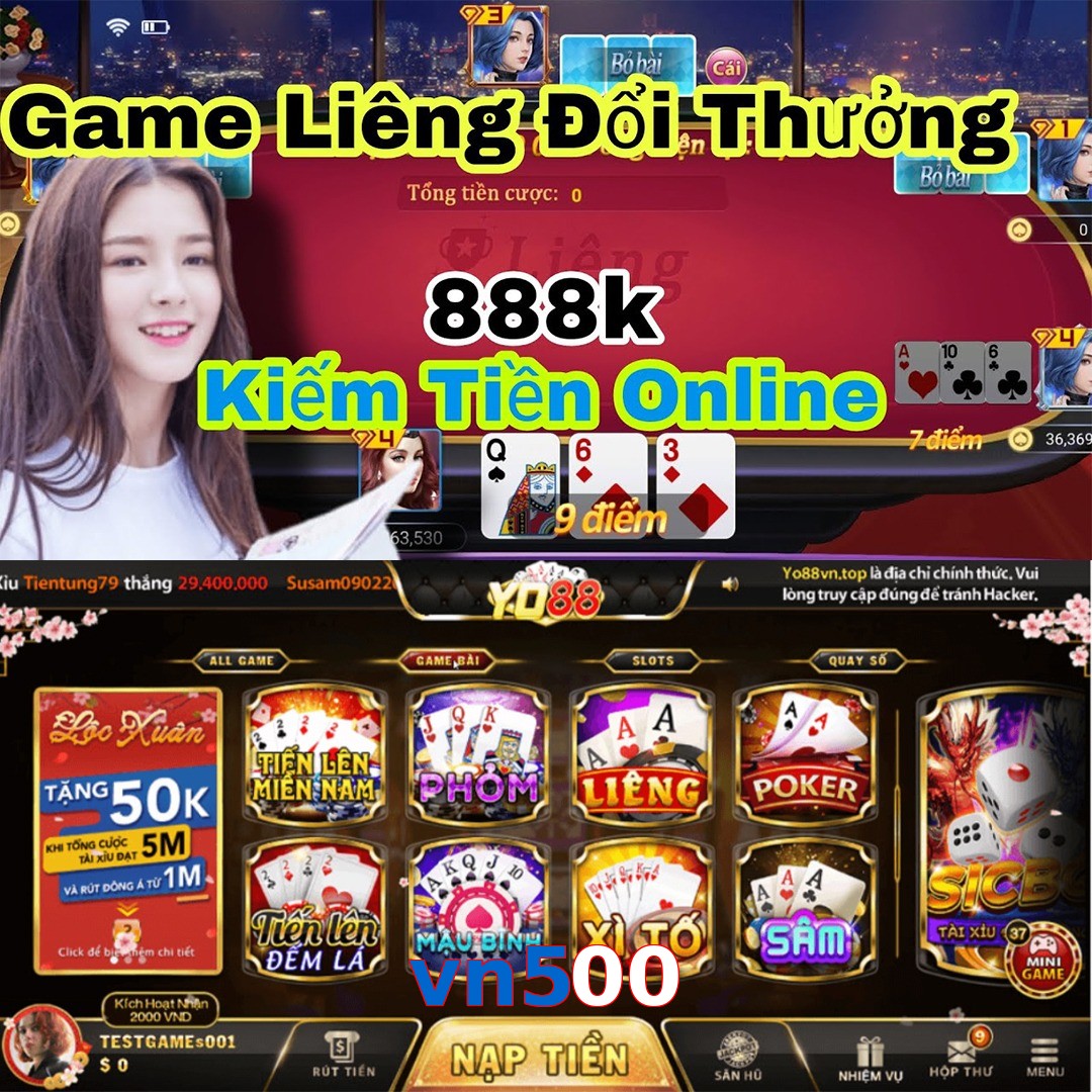 vn500