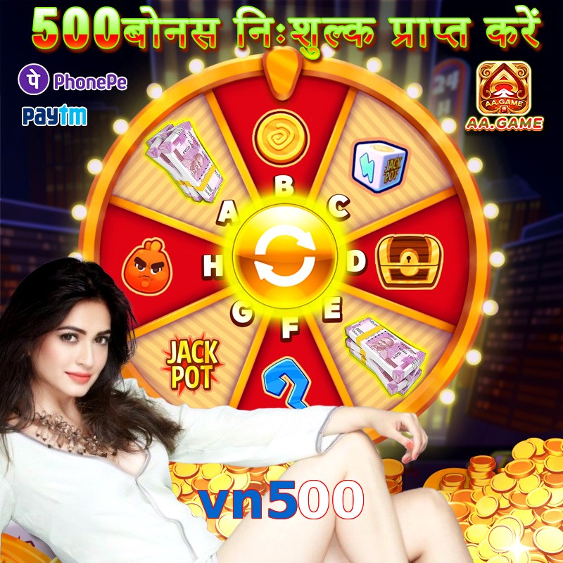 vn500