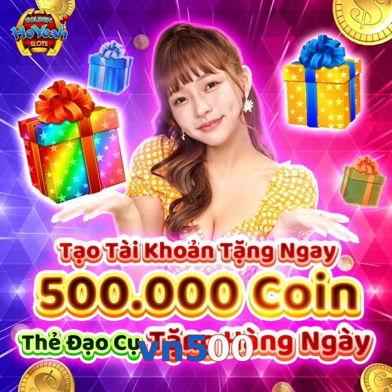 vn500