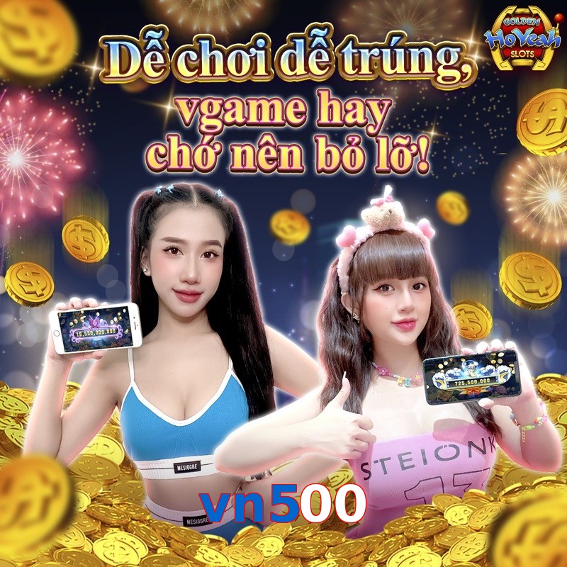 vn500