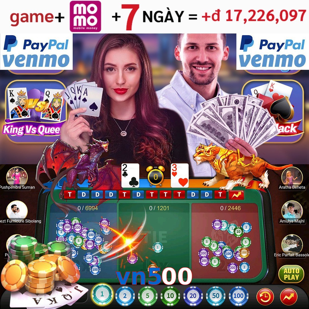 vn500
