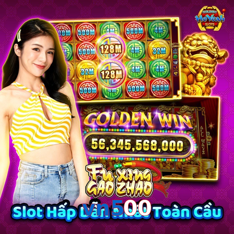 vn500