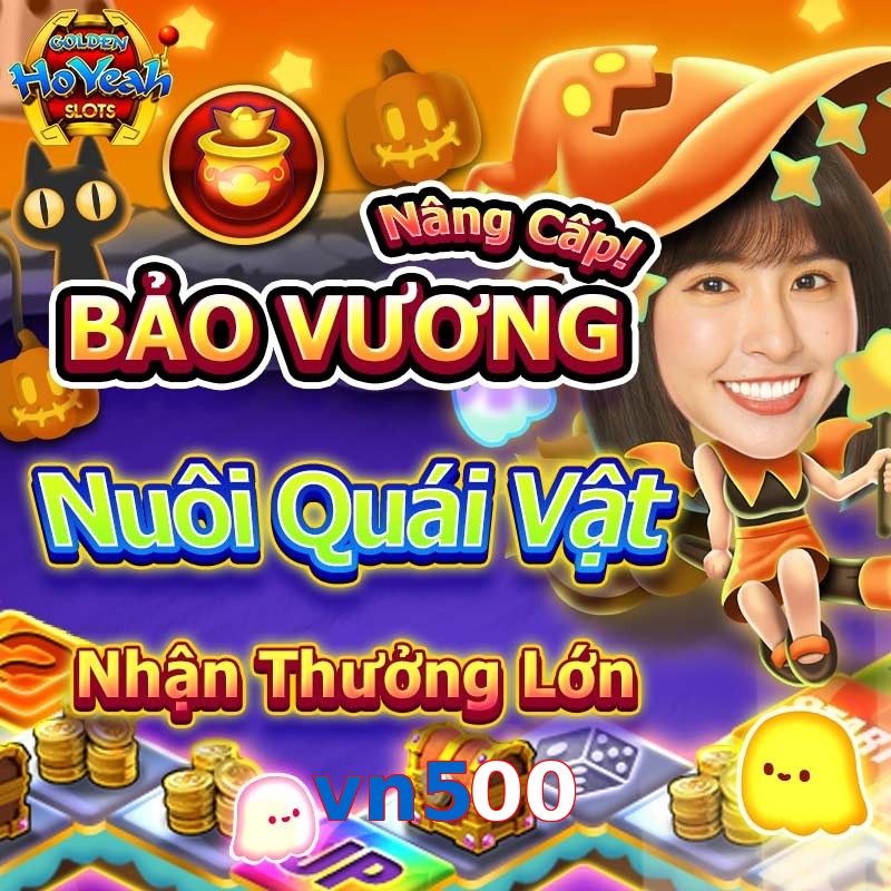 vn500