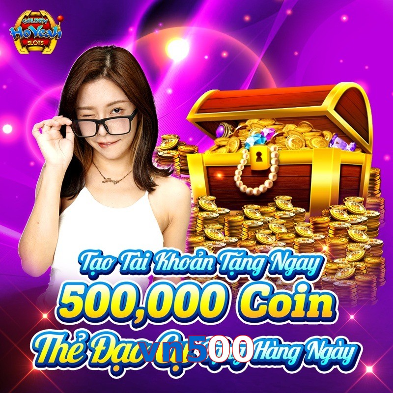 vn500