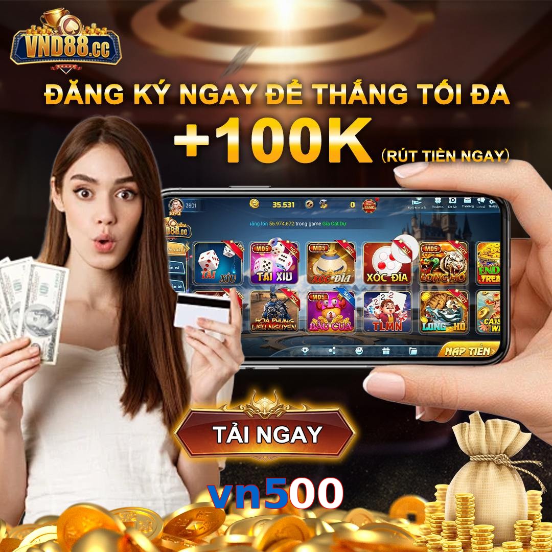 vn500