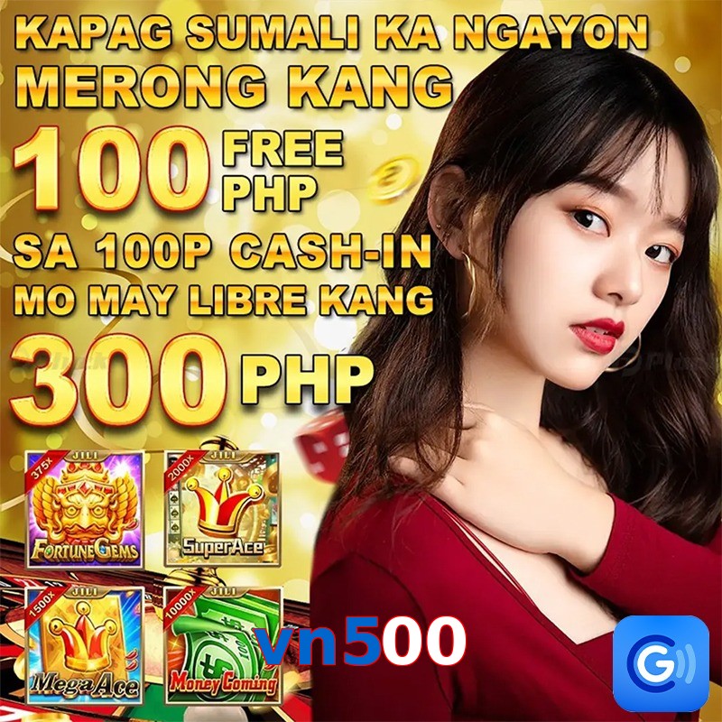 vn500