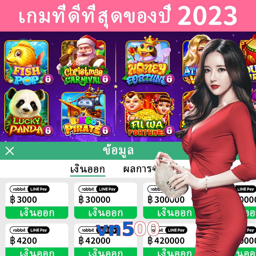vn500