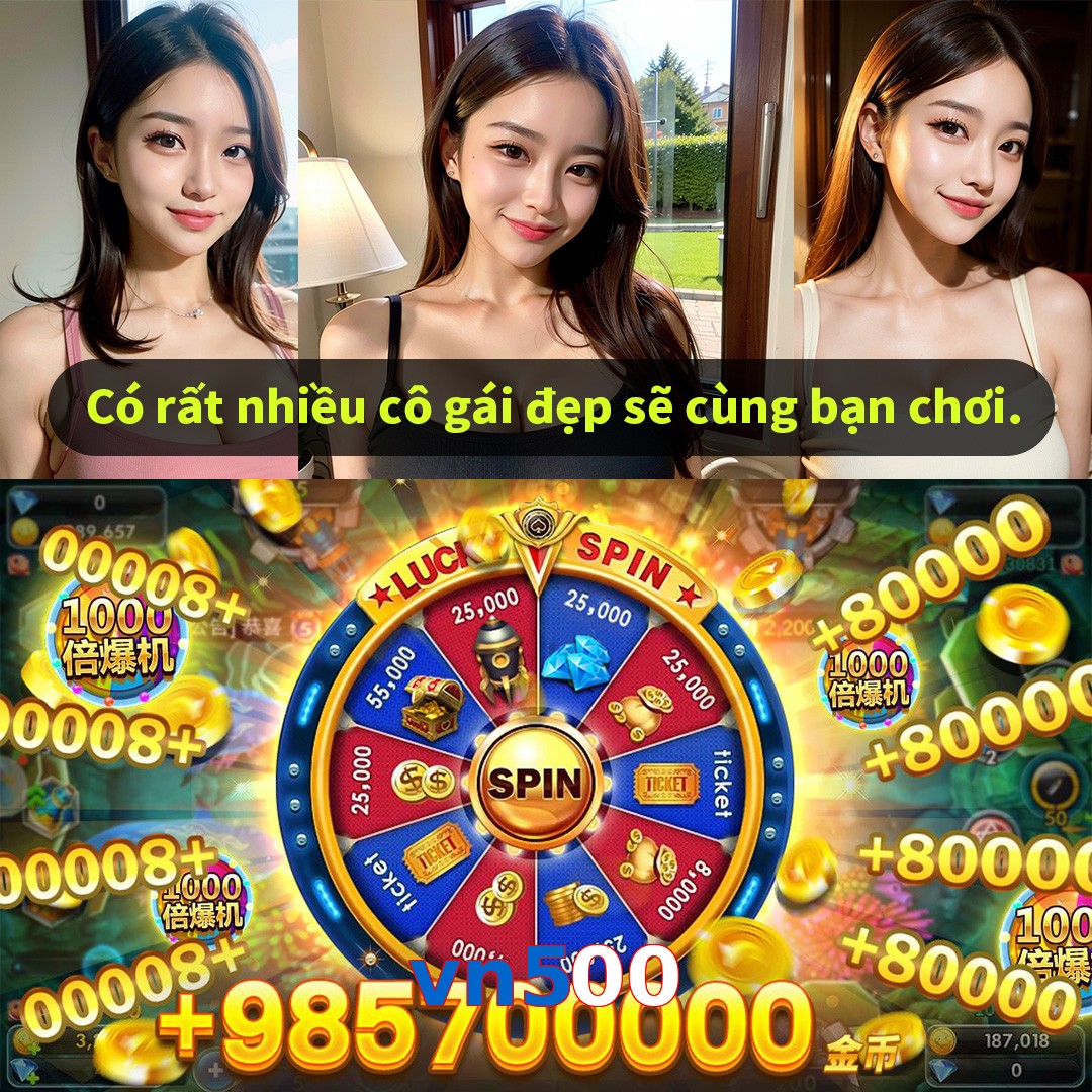 vn500