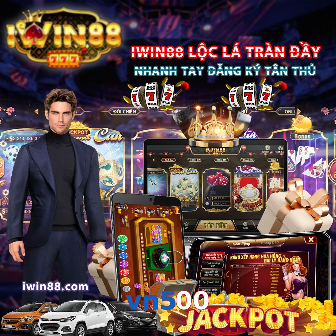 vn500