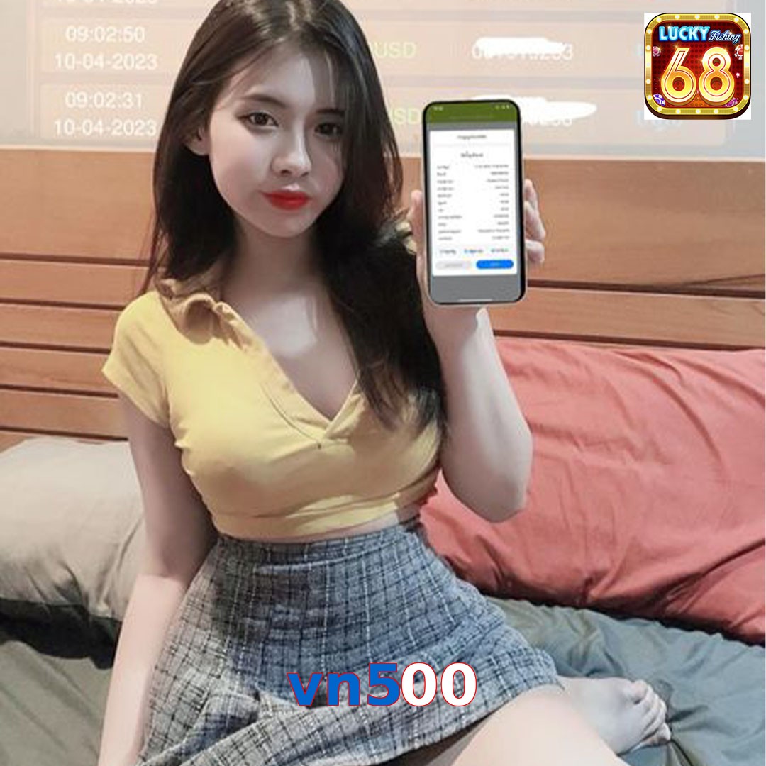 vn500