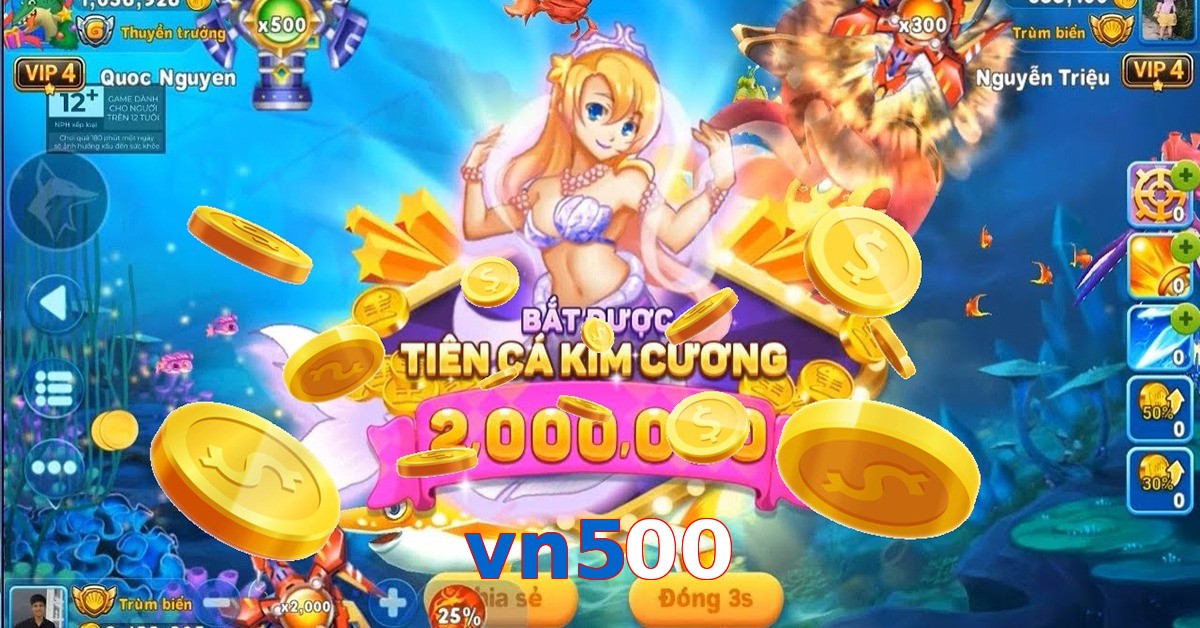 vn500