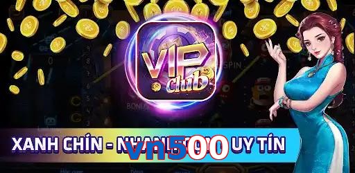 vn500