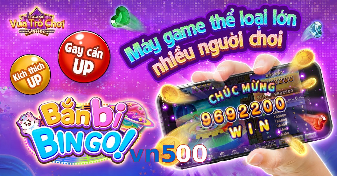 vn500