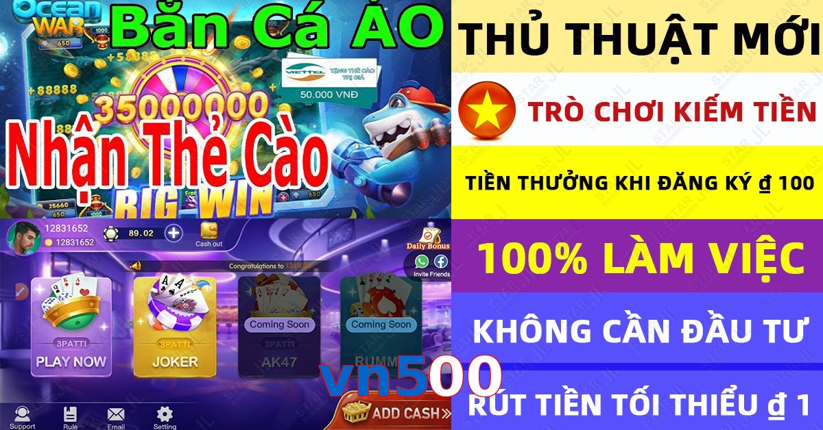 vn500