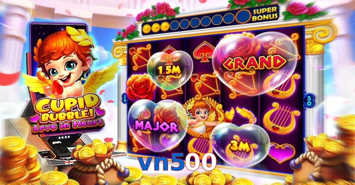 vn500