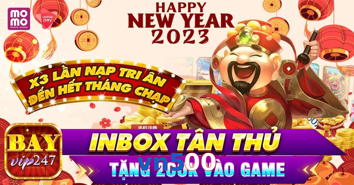 vn500