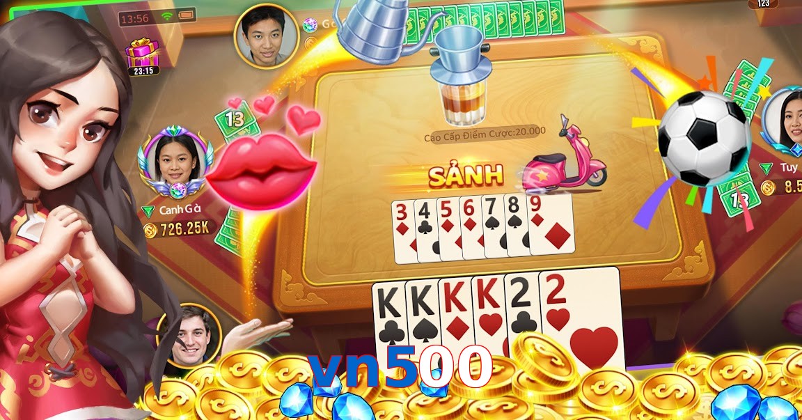 vn500