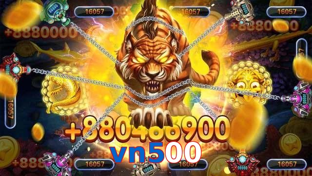 vn500