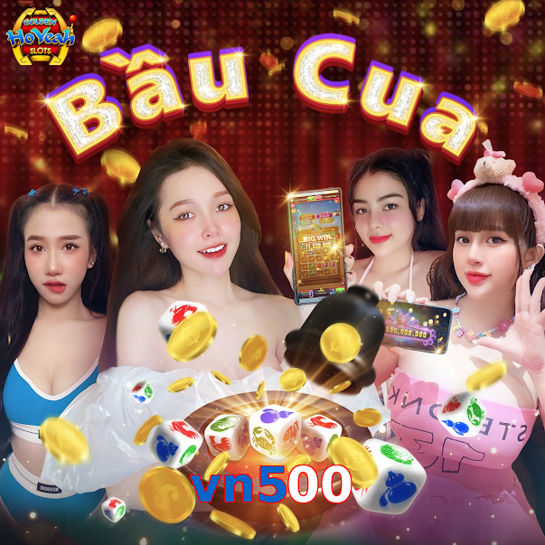 vn500