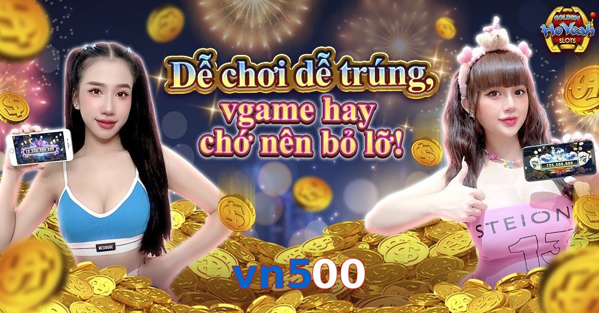 vn500