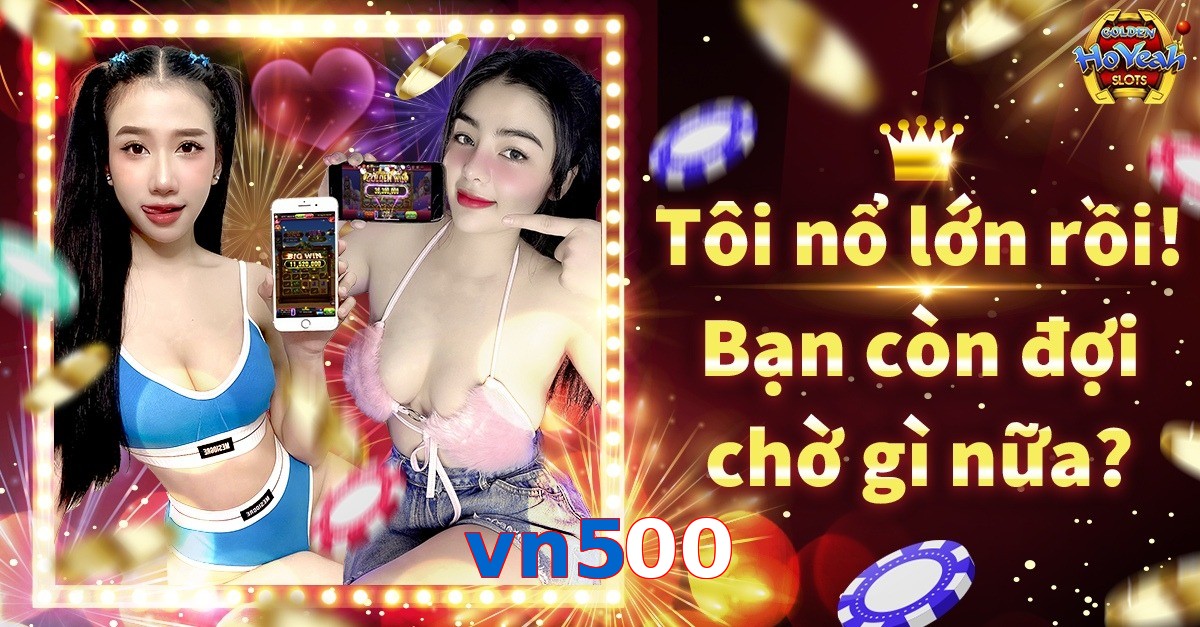 vn500
