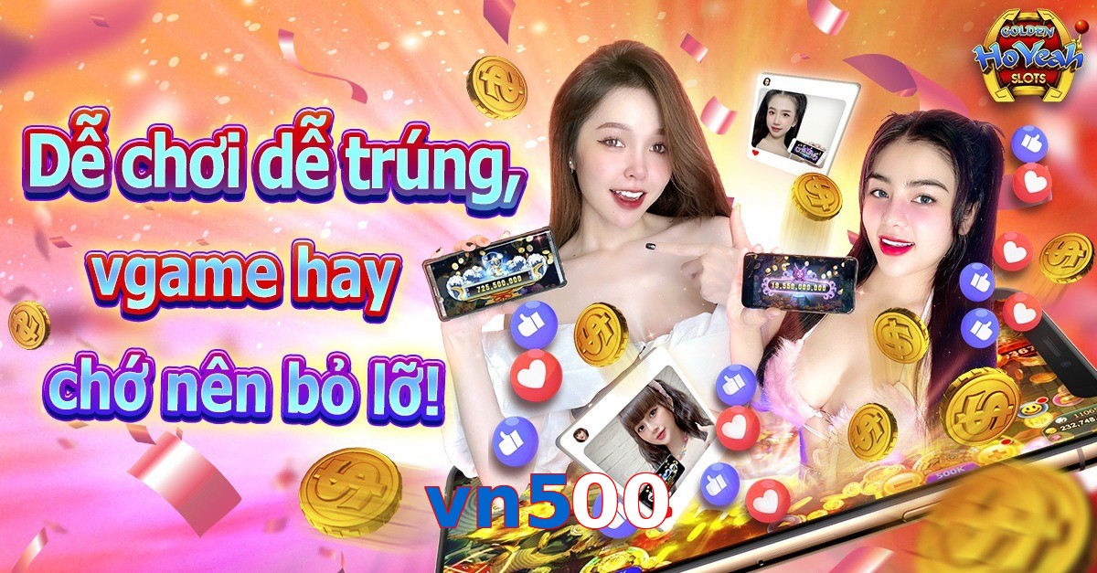 vn500