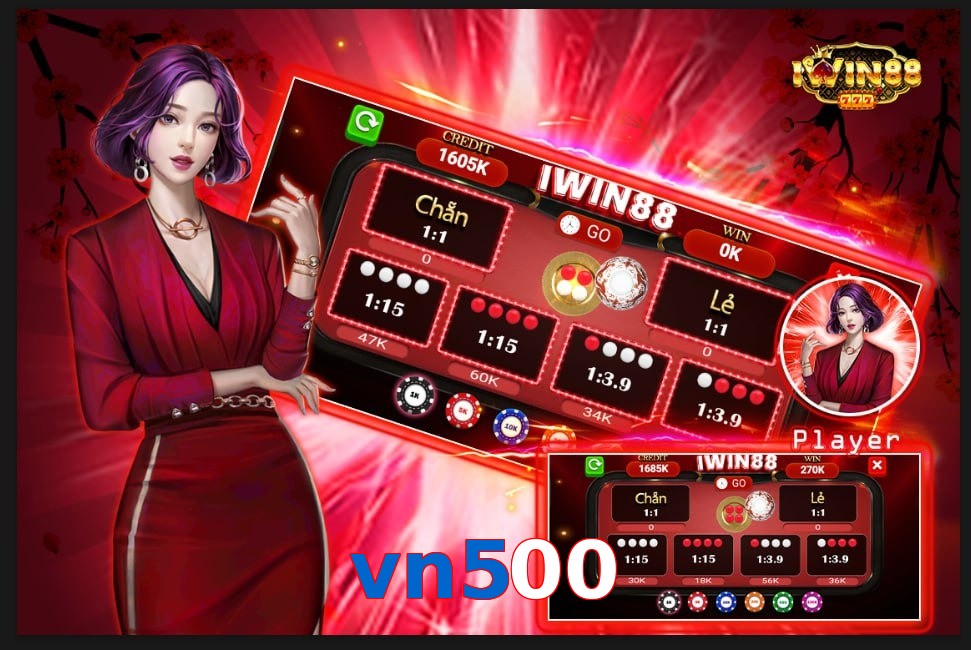 vn500