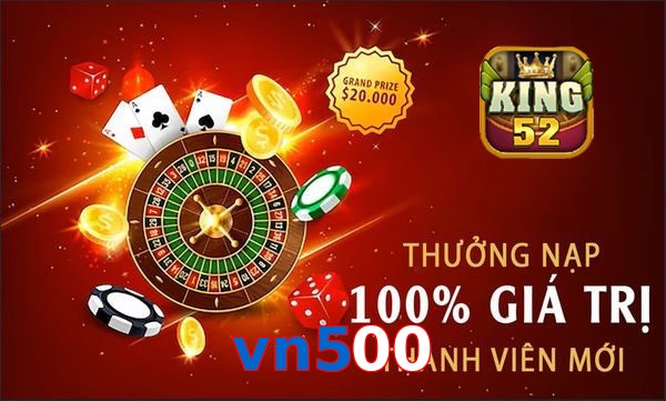 vn500
