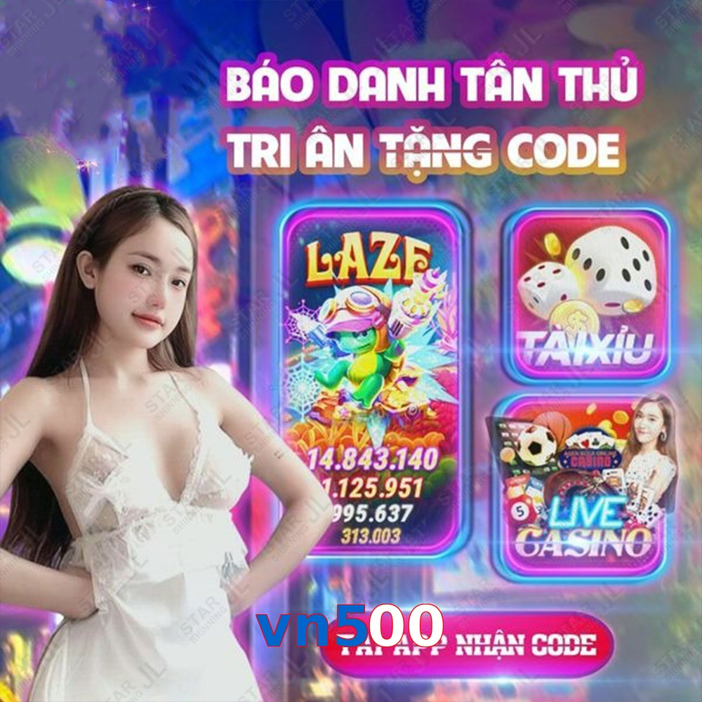 vn500