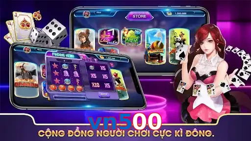 vn500