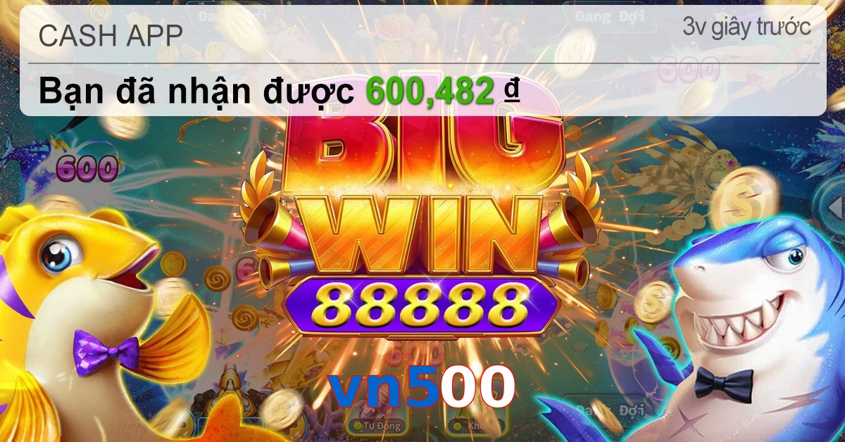 vn500