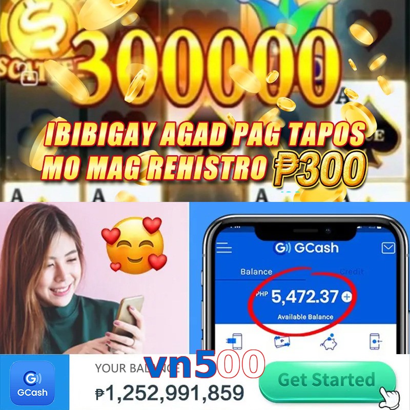 vn500