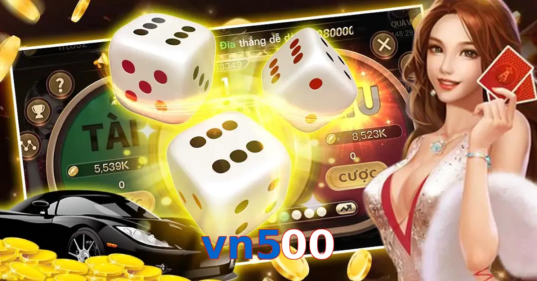 vn500