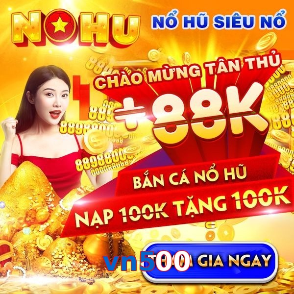 vn500