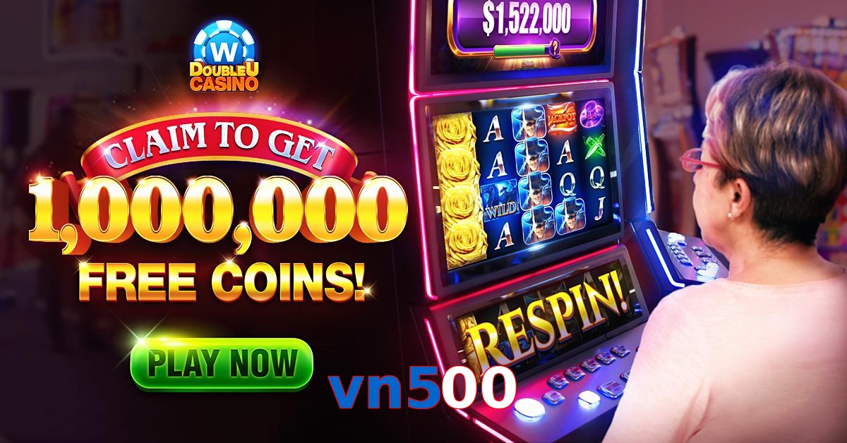 vn500