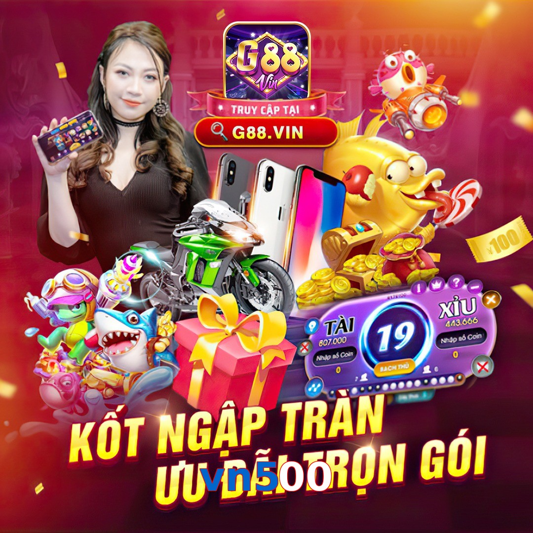 vn500