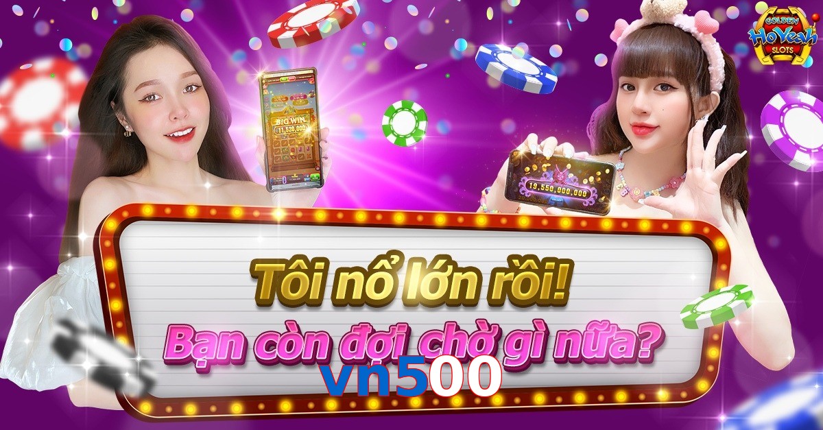 vn500