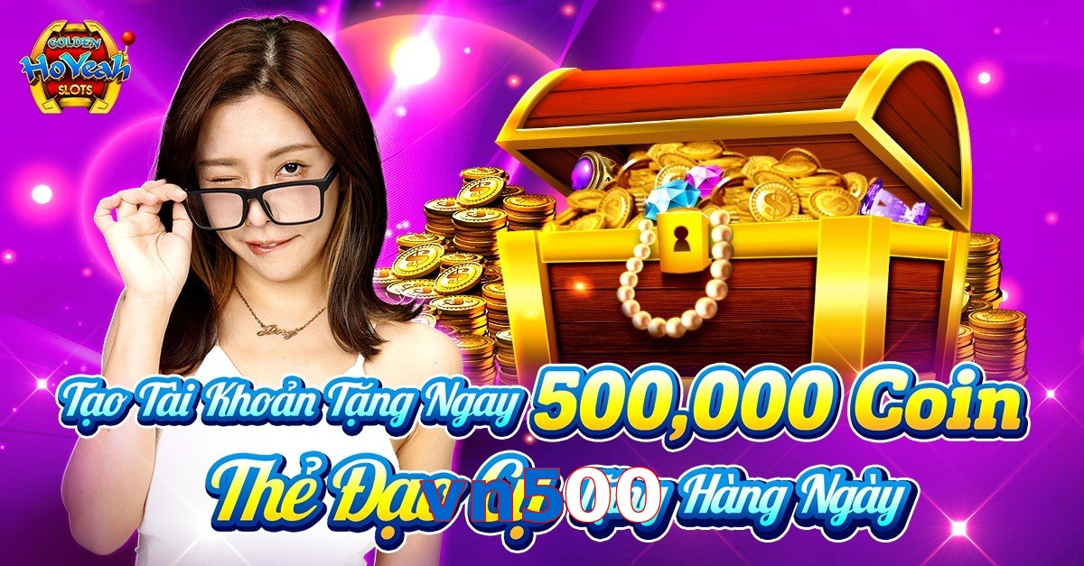 vn500
