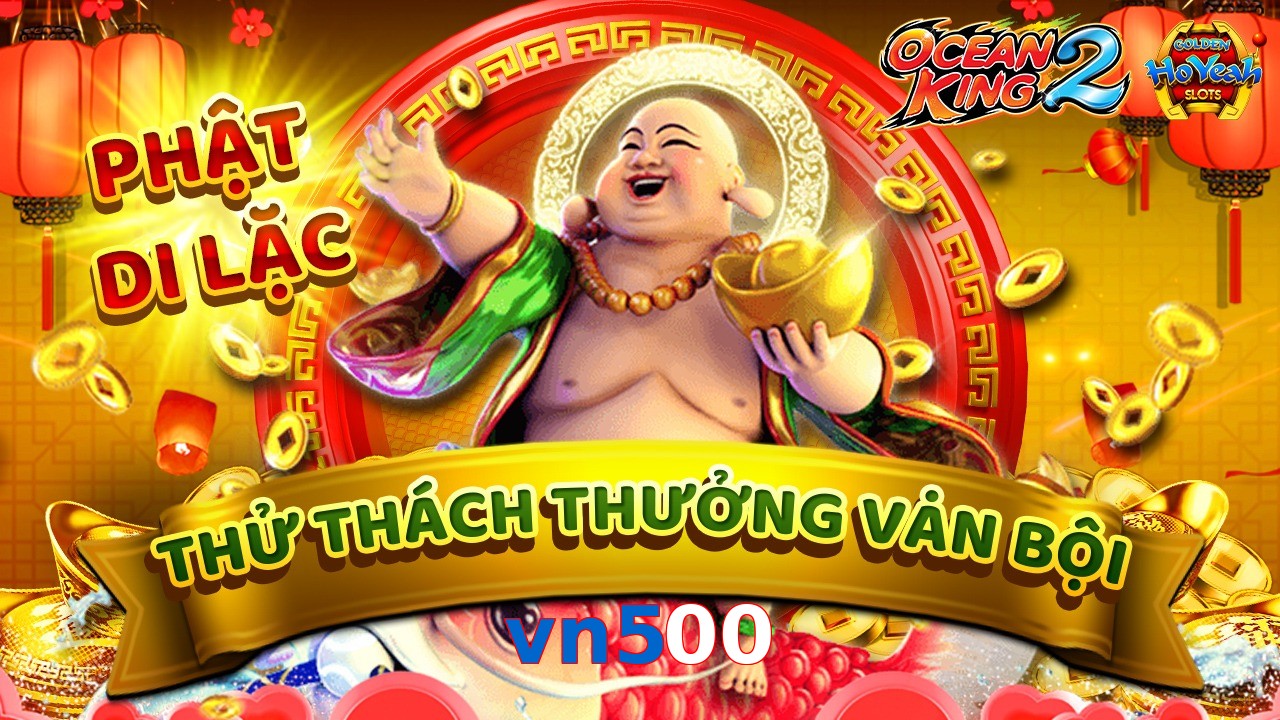 vn500