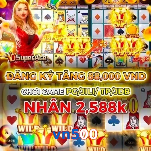 vn500