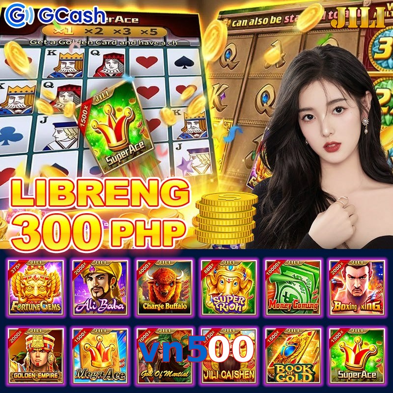 vn500