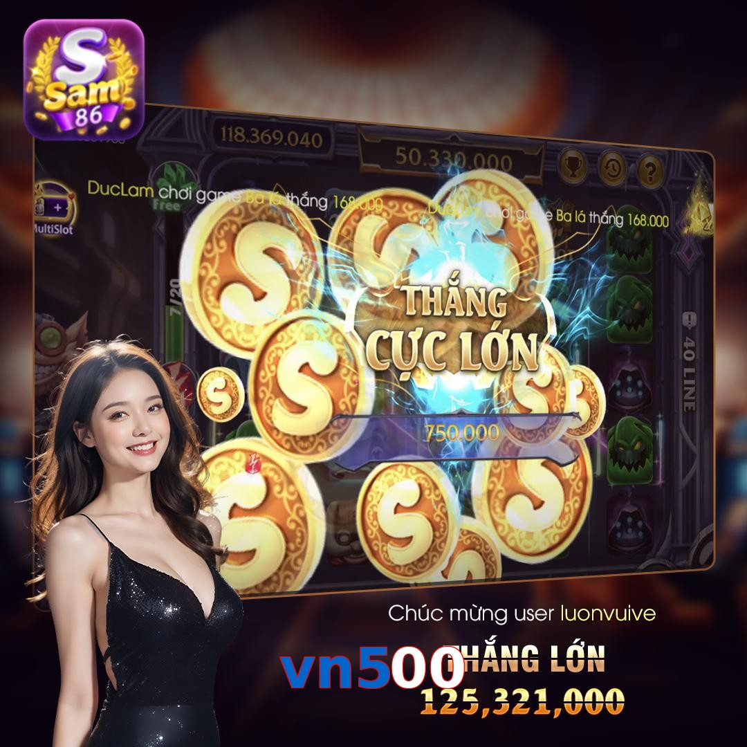 vn500