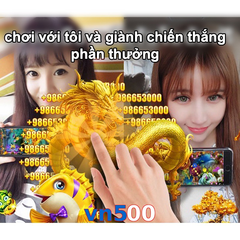 vn500