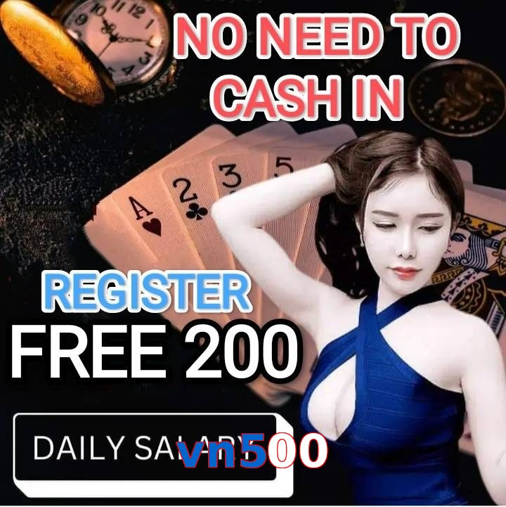 vn500