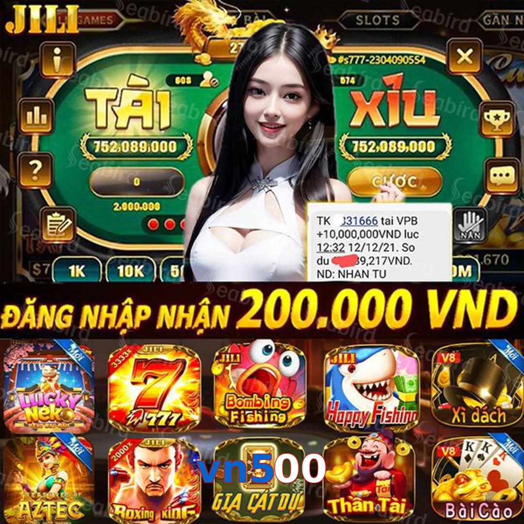 vn500