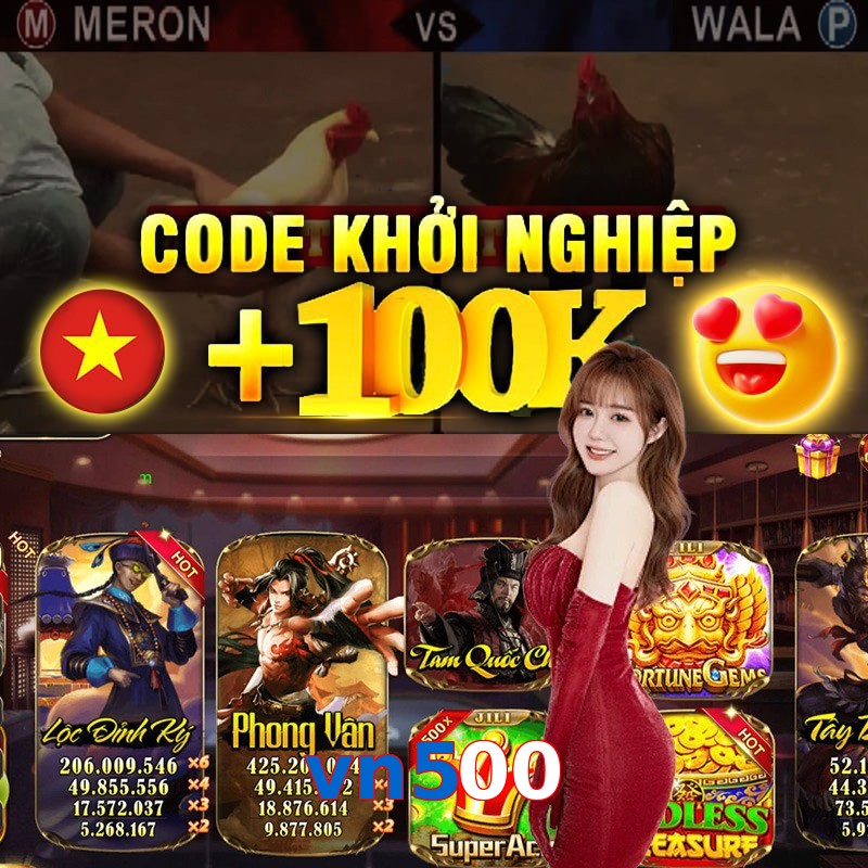 vn500