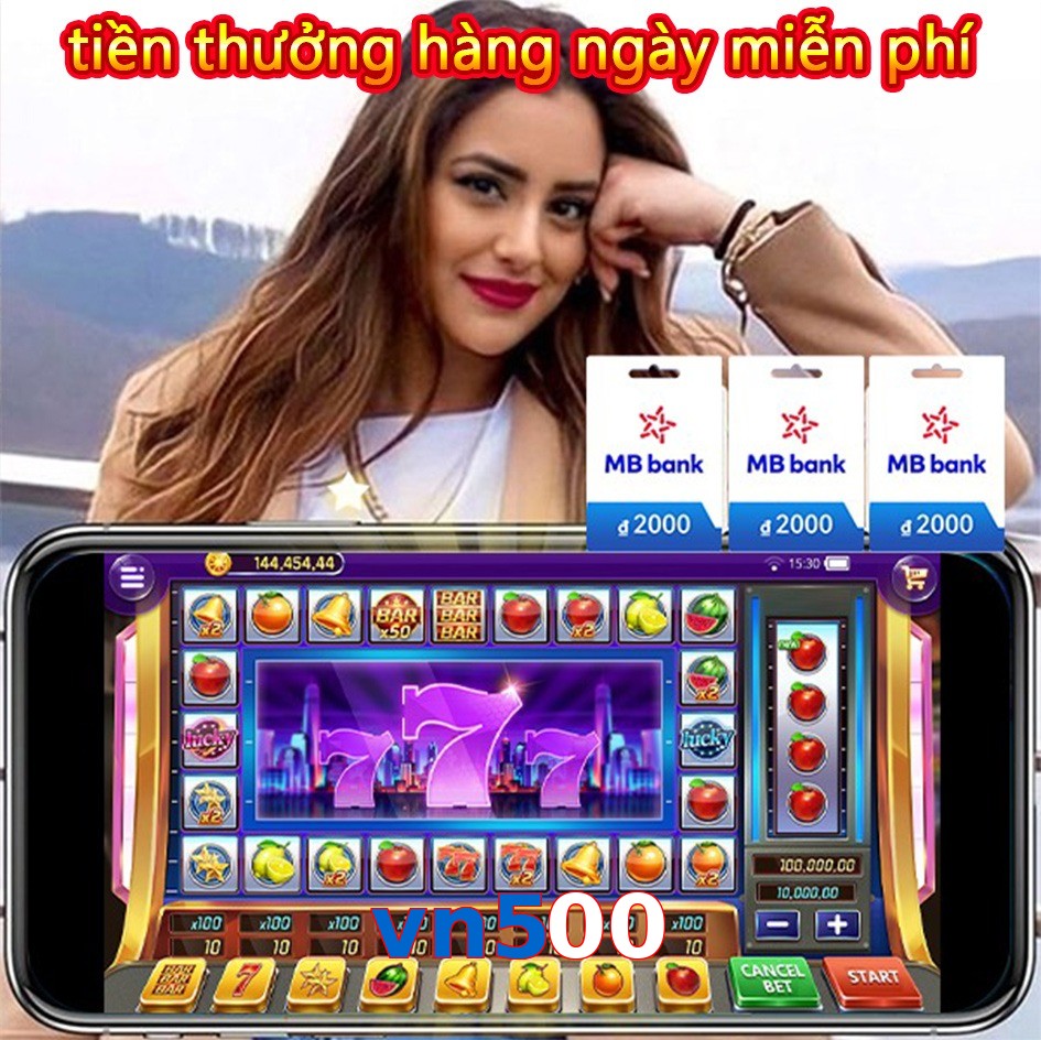 vn500