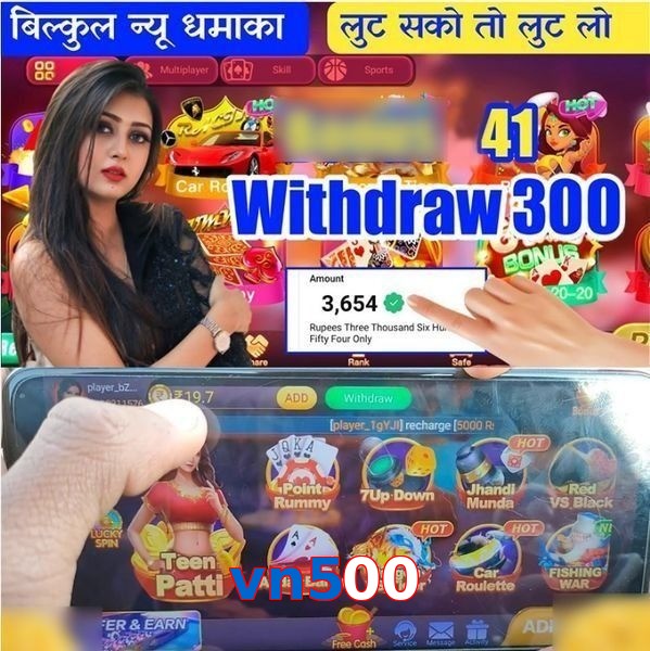 vn500