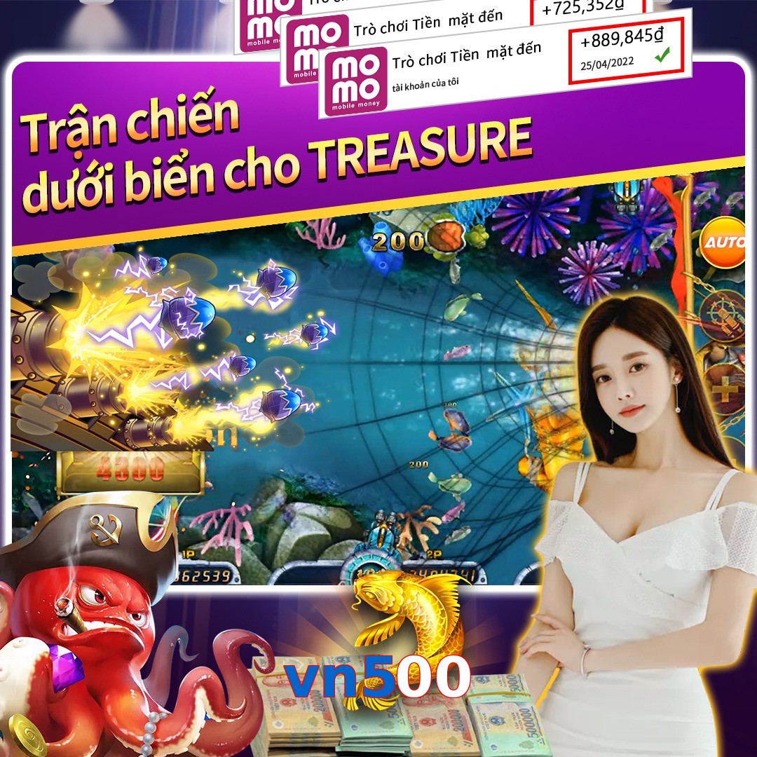 vn500
