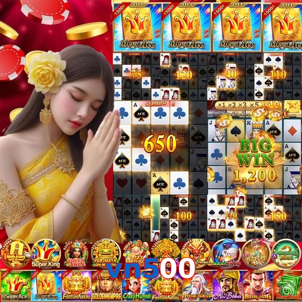 vn500